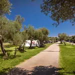 Maslinica Oliva Pitches